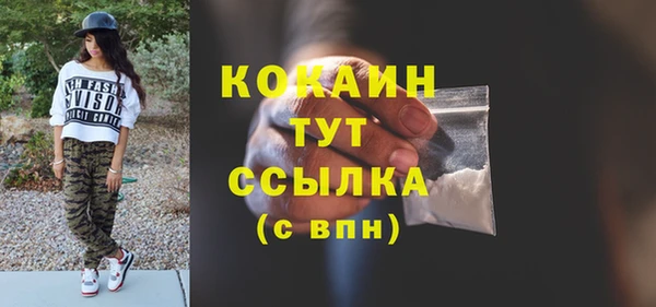 стаф Заводоуковск